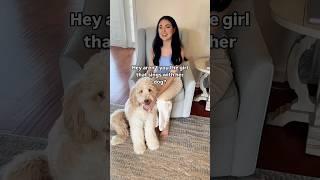 Singing Disney songs with my dog  #singingdogs #singer #funnydogs #singingvideo