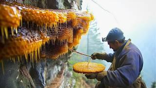 How Men Risk Death for Hallucinogenic Mad Honey | by @himalayanhoney