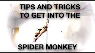 Spider Monkey Pole Shape Tips and Tricks Tutorial by @Elizabeth_bfit