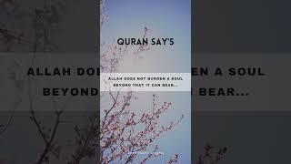 Allah does not burden a soul beyond that it can bear #quransayings #allah #quran #quotes