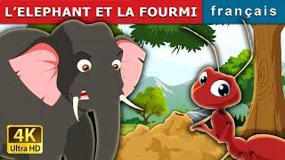 L’ELEPHANT ET LA FOURMI | Elephant and Ant in French | @FrenchFairyTales