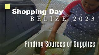 Kickstarting My Digital Nomad Routine in Belize by Finding the Best Vendors for My Supplies