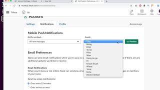 How to manage EMAIL NOTIFICATIONS in SLACK?