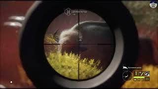 Степные бизоны Долины Юкона. Нарезка theHunter Call of the Wild