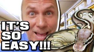 SNAKE GENETICS LEARNED IN MINUTES!!! | BRIAN BARCZYK