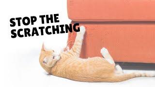 How To Stop Cats From Scratching Furniture | Two Crazy Cat Ladies