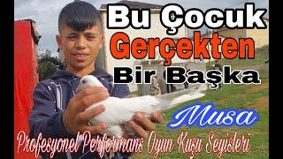 Bu Çocuk Gercekten Bir Başka, Musa. Profesyonel Performans Oyun Kuşu Seyisleri.