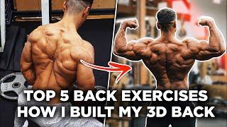 HOW I BUILT MY 3D BACK! - 5 Best Back Exercises!