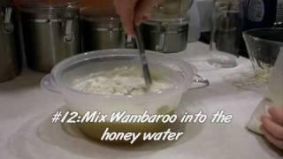 How to Make Sugar Glider High Protein Wombaroo (HPW) Diet