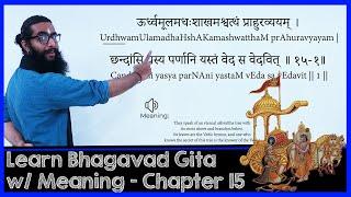 Learn BhagavadGita with Narration of Meanings - Chapter 15