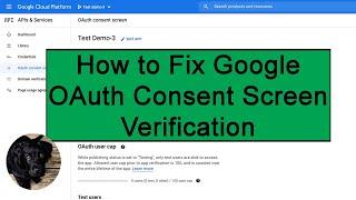 Google OAuth Consent Screen Verification.