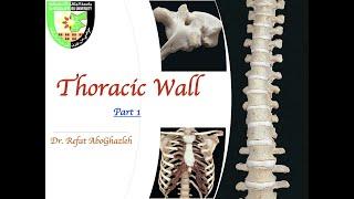 Anatomy of Thoracic Wall Part 1 (Full Lecture)