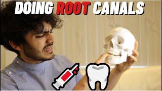 Doing Root Canal Treatment in Dental school | VLOG