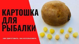 Картошка для рыбалки. Супер насадка на карпа, карася, линя, леща.