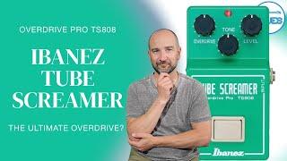 Ibanez Tube Screamer Overdrive Pro TS808  - How it REALLY Sounds