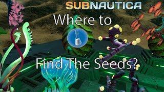 Where to Find All The Seeds For Hatching Enzyme! Subnautica