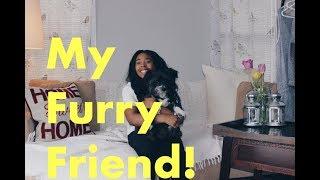 Furry Friend Tag!