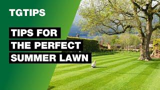 Lawn Care Tips for the Perfect Summer Lawn