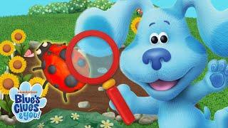 Guess the Garden Object Game w/ Blue & Friends  | Blue's Clues & You!