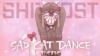 Sad Cat Dance meme [CountryHumans shitpost]