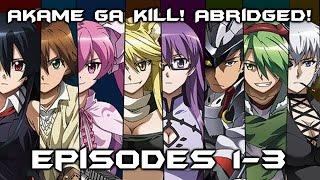 Akame Ga Kill! Abridged! Episode 1-3 Recap