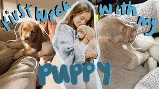 FIRST WEEK WITH MY PUPPY!! | Realities of Getting a Puppy