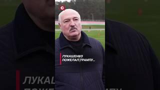 Лукашенко пожелал Трампу… #лукашенко #политика #новости #беларусь #сша #трамп #выборы