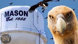 Ford Motor Co. Chose A Small Black Town, Then Came The Vultures #SaveMason