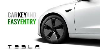 Tesla Easy Entry and Car Key #Tesla #EasyEntry #CarKey