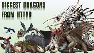 10 Biggest Dragons Species from HTTYD (How To Train Your Dragon)