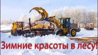 Съездил в лес пассажиром! Погрузка и вывозка леса.