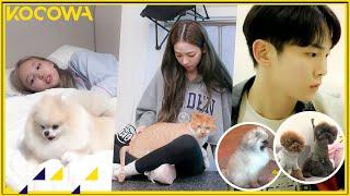 [KOCOWA.zip] When Pets and Celebs are together, the loveliness doubles! [ENG SUB]