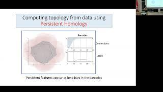 [Distinguished Lecture Series] Lecture 02 | Applications of topological data analysis in cancer