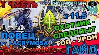 Neverwinter - Гайд / часть 1 / Охотник-Следопыт м.11.5 / Бродячие Коты