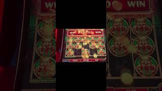 Triple Supreme Xtreme   #slots#gambling#nicewin   #coushatta#louisiana