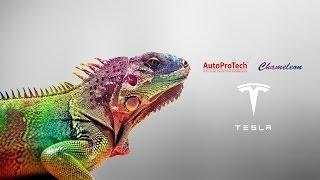 Оклейка  Tesla Model S пленкой AutoProTech Chameleon