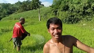 farmers vlog for more Maloy tv viners