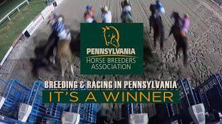 The PA Horse Breeders Association