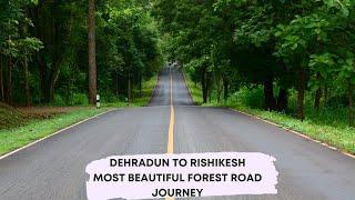 Dehradun To Rishikesh Most Beautiful Forest Road Journey