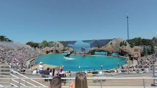 VR180 - SeaWorld San Diego Zoo Days: BBQ & Brews - Orca Show - Saturday 19th 2020 (1/3)