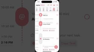 How to use Structured Daily Planner app?