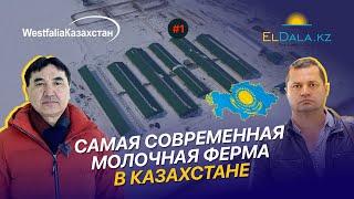 Как строят самую продвинутую молочную ферму Атамекен-Агро в Казахстане?