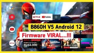 B860H V5 Android 12 VIRAL