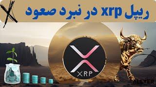 ریپل xrp در نبرد صعود،حواستو جمع کن