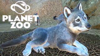 WOLFBABYS #23 PLANET ZOO - Let's Play Planet Zoo