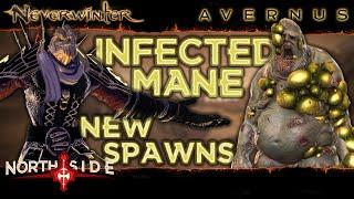 Neverwinter Mod 19 - Infected Manes Spawn  Locations Guide Update 5+ New Spots More Chains Northside