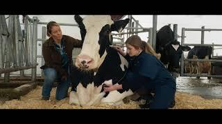 Dairy Farming Forward - High Canadian Standards