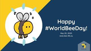 Happy World Bee Day 2020!