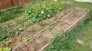 How to install a Drip Irrigation System for your Garden, DIY, part 2