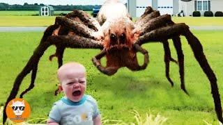 Funniest Babies Scared of Weird Decorations Videos | Just Funniest